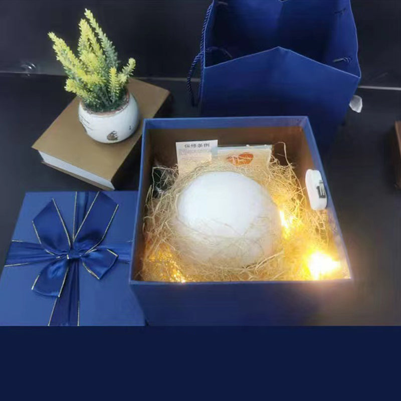 3d moon lamp