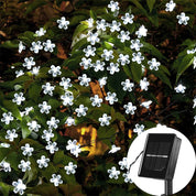 Solar Cherry Blossom String Light