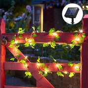 Solar Powered Fairy Lights