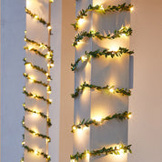 Solar Powered Fairy Lights