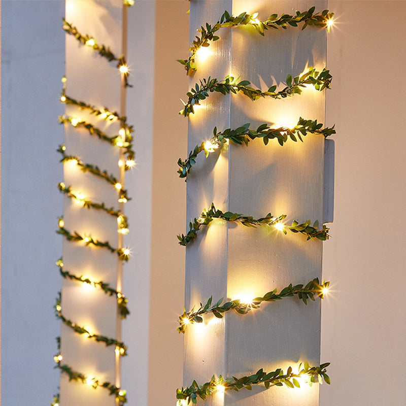Solar Powered Fairy Lights