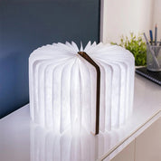 Smart Book Light