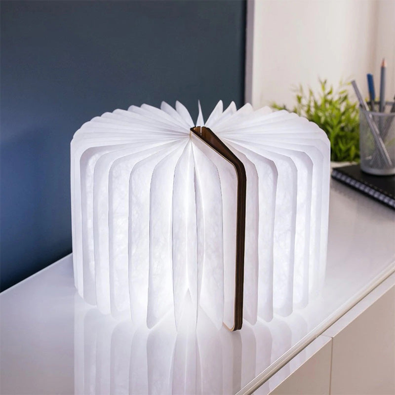 Smart Book Light