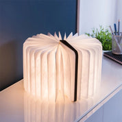 Smart Book Light