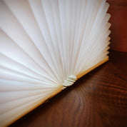 Smart Book Light