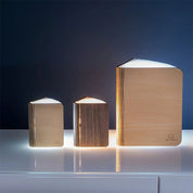Smart Book Light