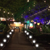 LED Solar Garden Light