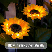 Outdoor Solar Sunflower Lights