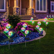 Solar Dandelion Garden Lights