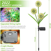Solar Dandelion Garden Lights