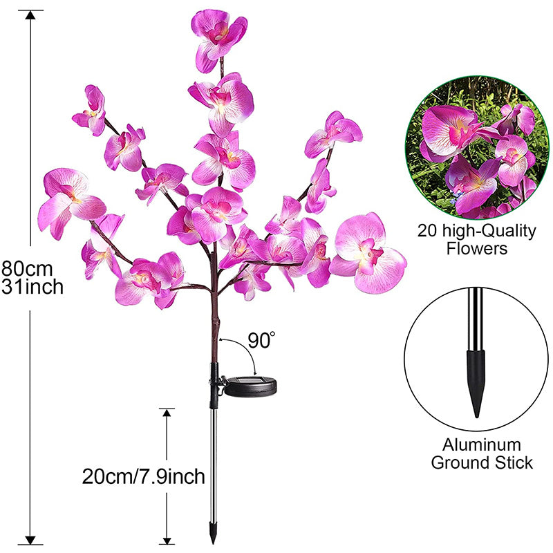 Solar Flower Lantern Phalaenopsis
