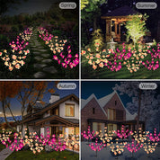 Solar Flower Lantern Phalaenopsis
