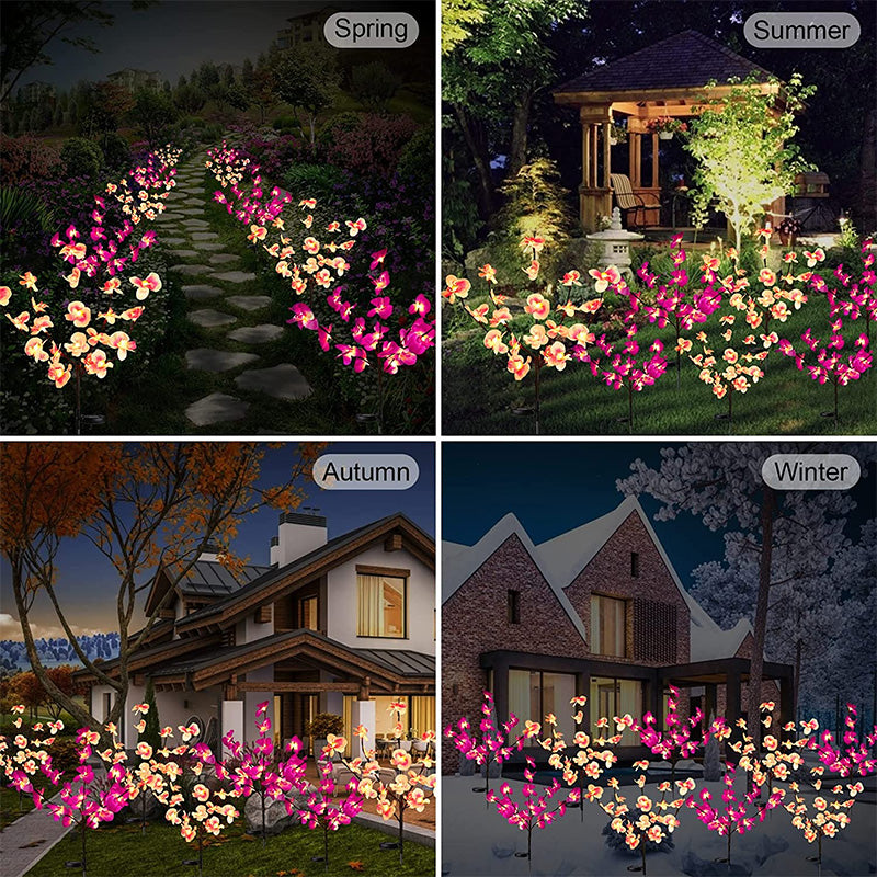 Solar Flower Lantern Phalaenopsis