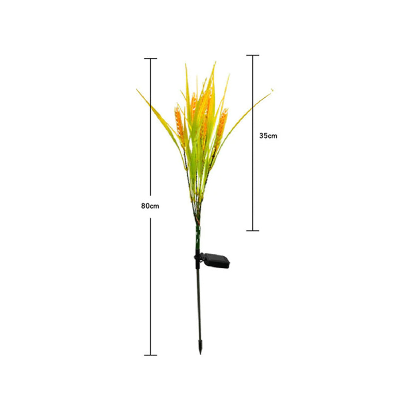 Solar Wheat Ears Pathway Light