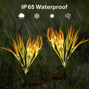 Solar Wheat Ears Pathway Light