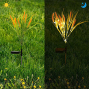 Solar Wheat Ears Pathway Light