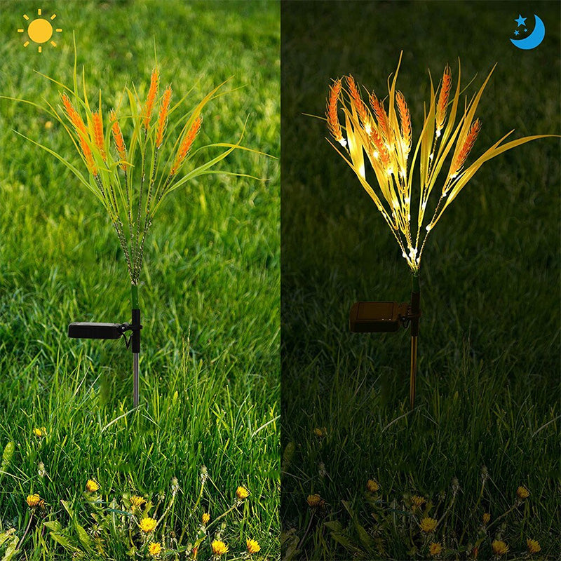 Solar Wheat Ears Pathway Light