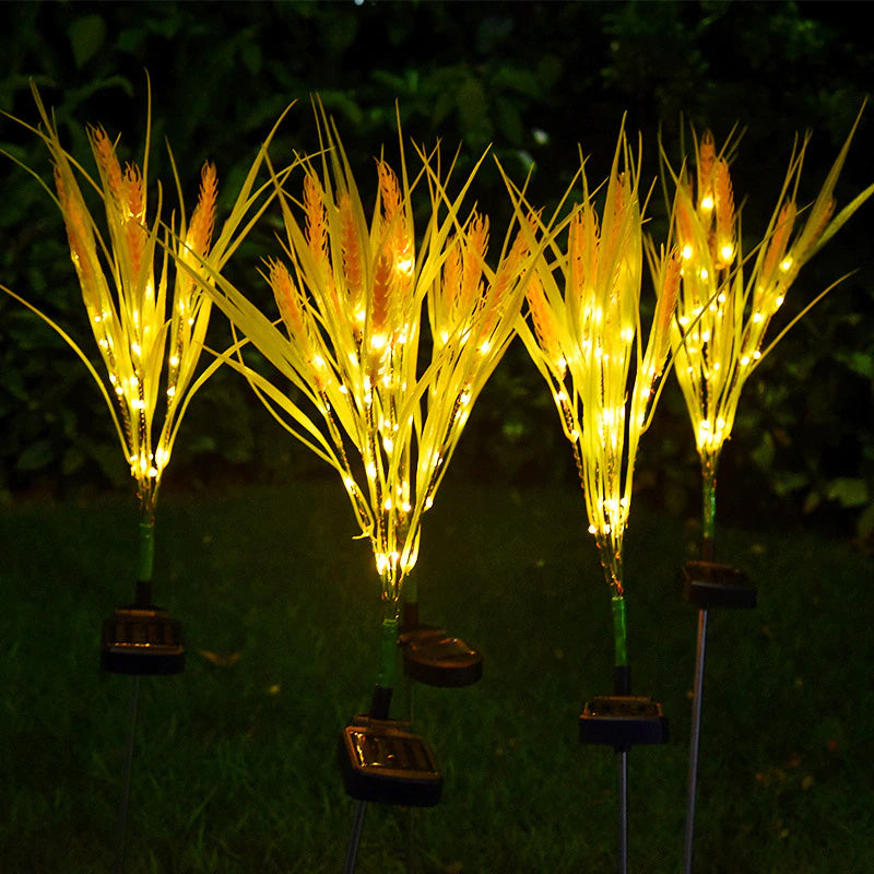 Solar Wheat Ears Pathway Light