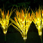 Solar Wheat Ears Pathway Light