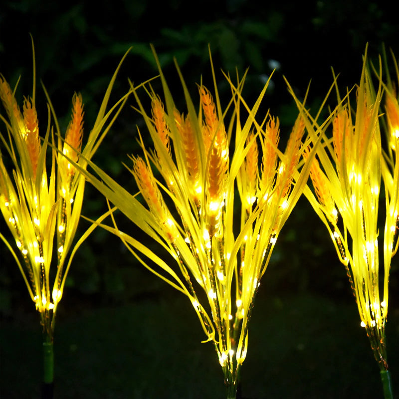 Solar Wheat Ears Pathway Light