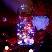 rose lamp