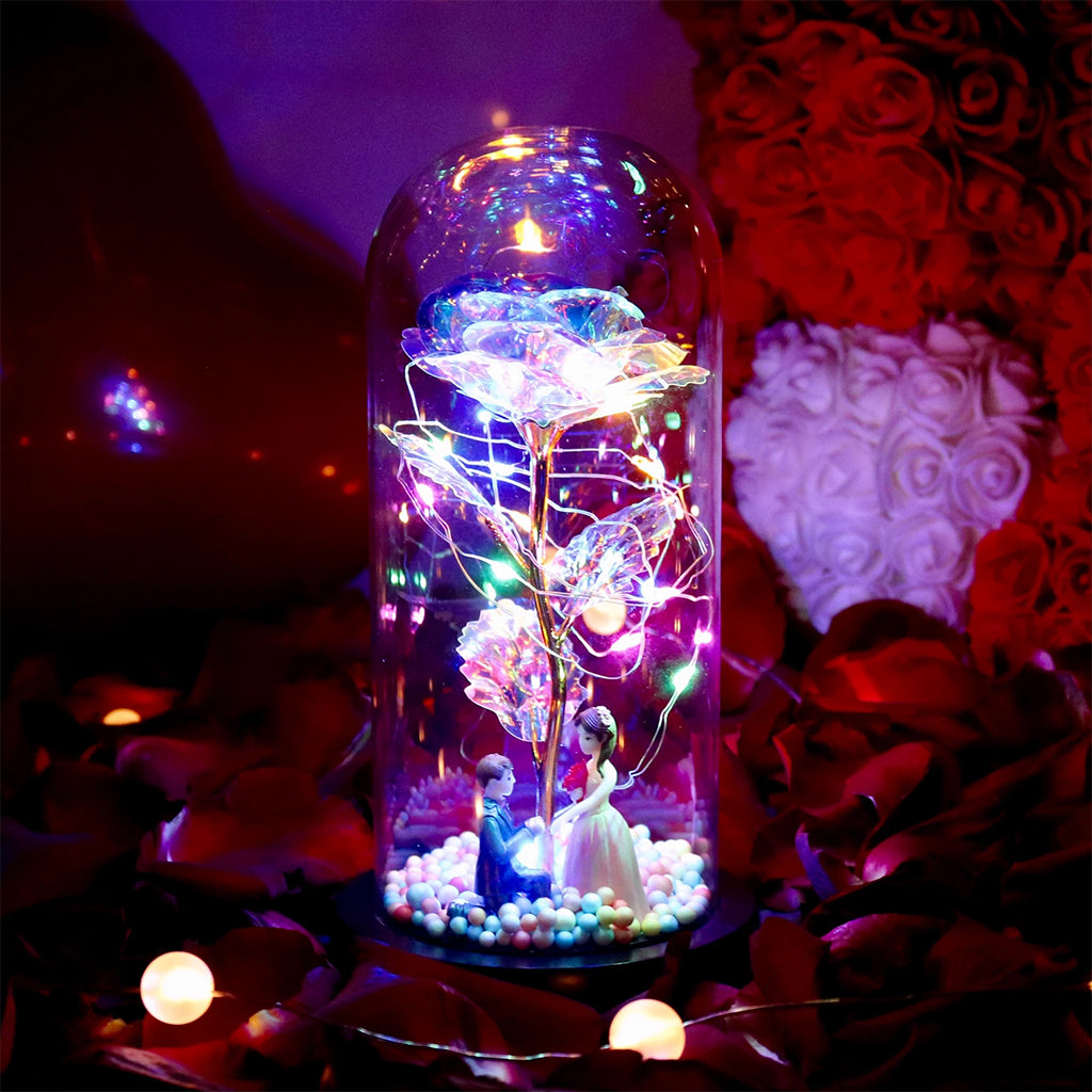 decorative lights