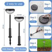 Solar Pathway Lights Outdoor