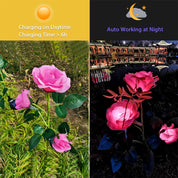 Solar Simulation Rose Flower