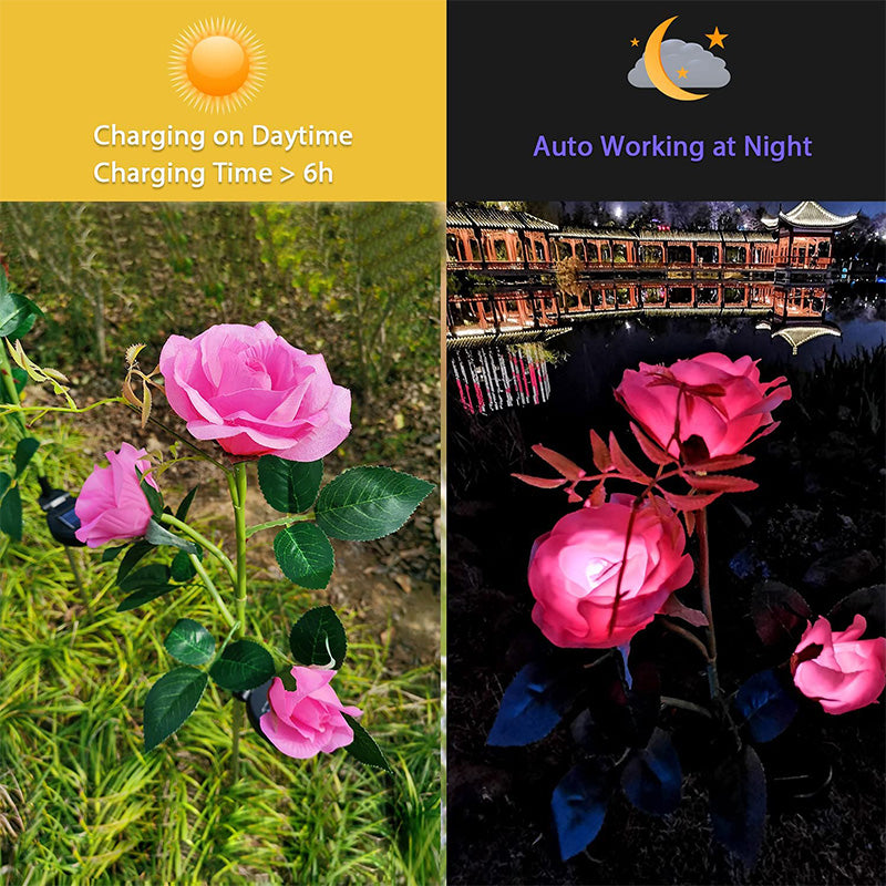 Solar Simulation Rose Flower