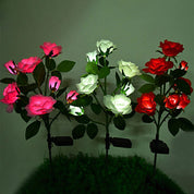 Solar Simulation Rose Flower