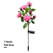 Solar Simulation Rose Flower