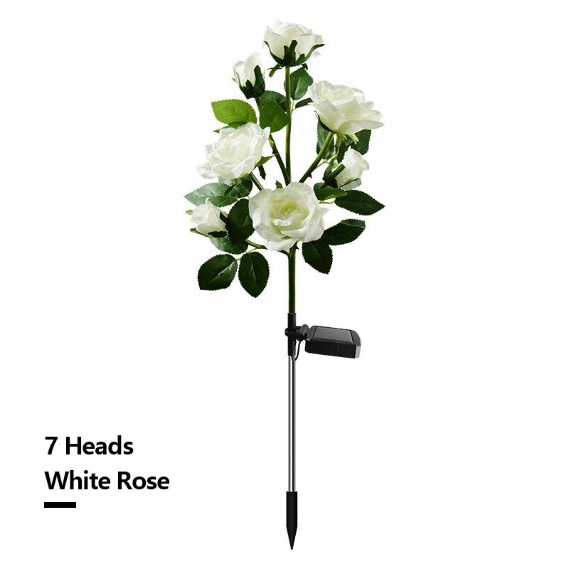 Solar Simulation Rose Flower