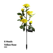 Solar Simulation Rose Flower