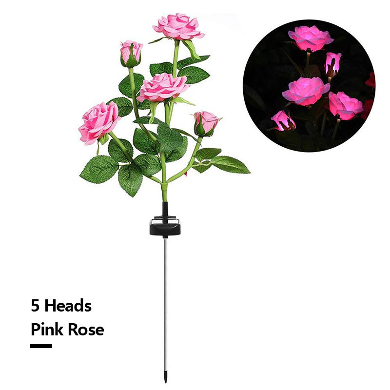 Solar Simulation Rose Flower