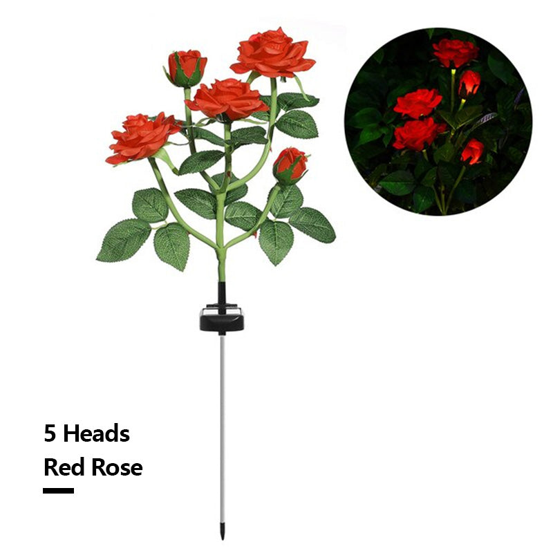 Solar Simulation Rose Flower
