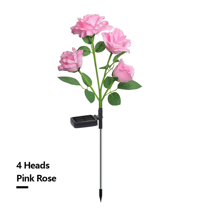 Solar Simulation Rose Flower