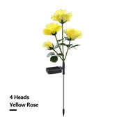 Solar Simulation Rose Flower