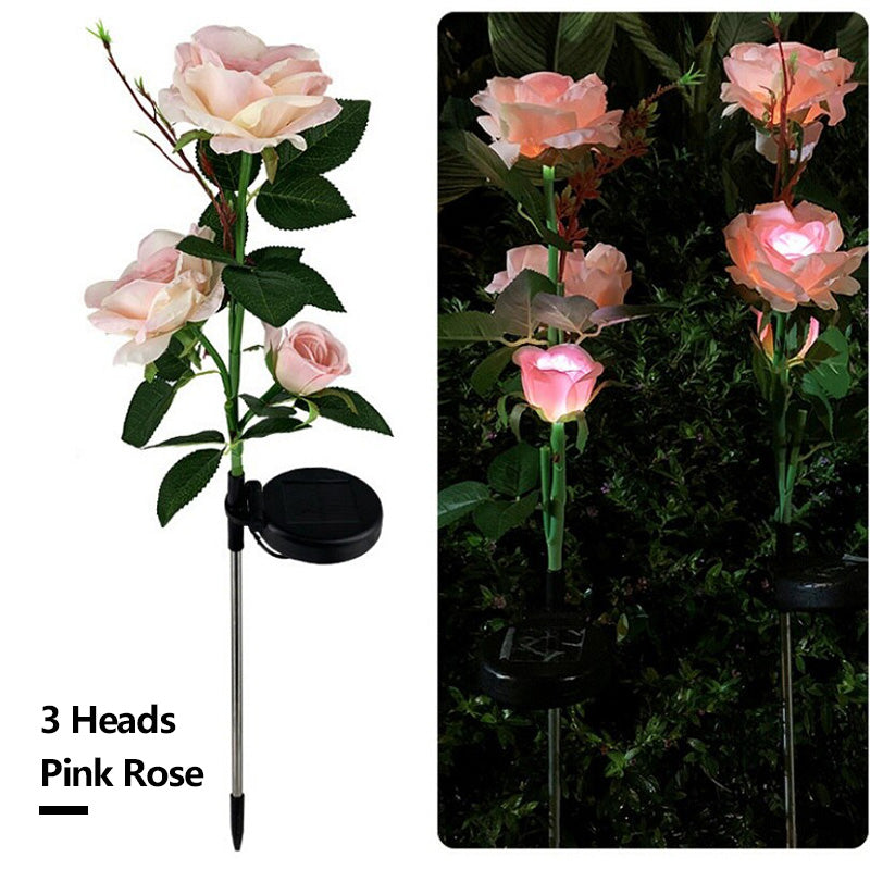 Solar Simulation Rose Flower