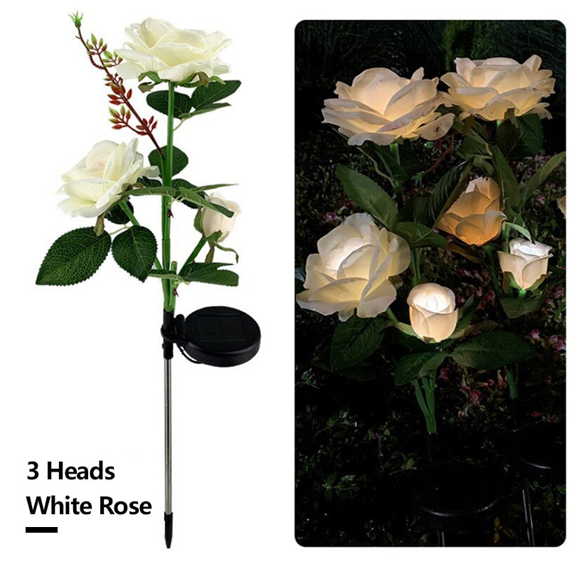 Solar Simulation Rose Flower